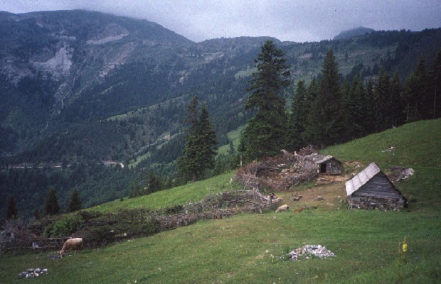 maisons montenegro