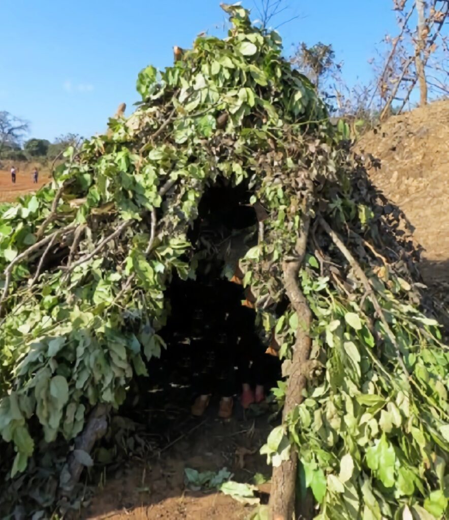 hutte primitive en feuille