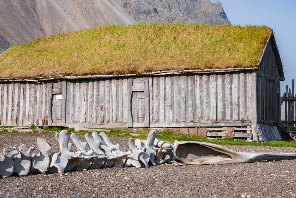 longue maison d'herbe en Islande