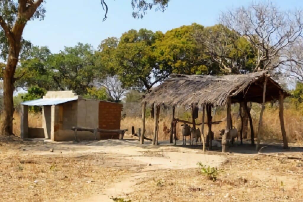 marché rural en Zambie