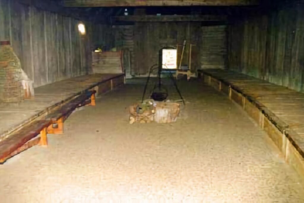 intérieur longhouse viking