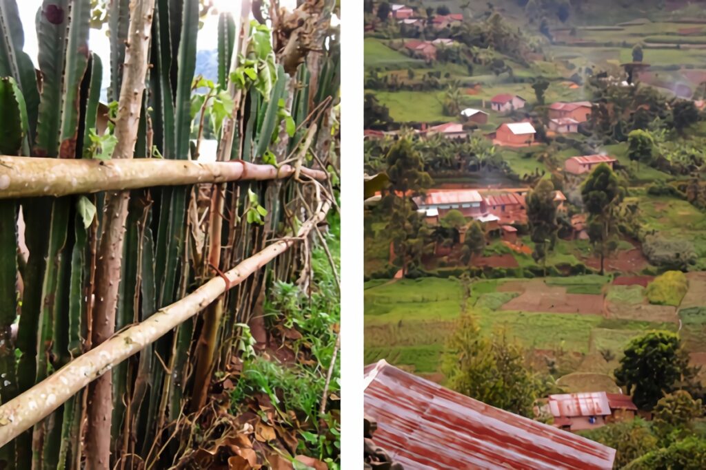 maisons rurales en Ouganda