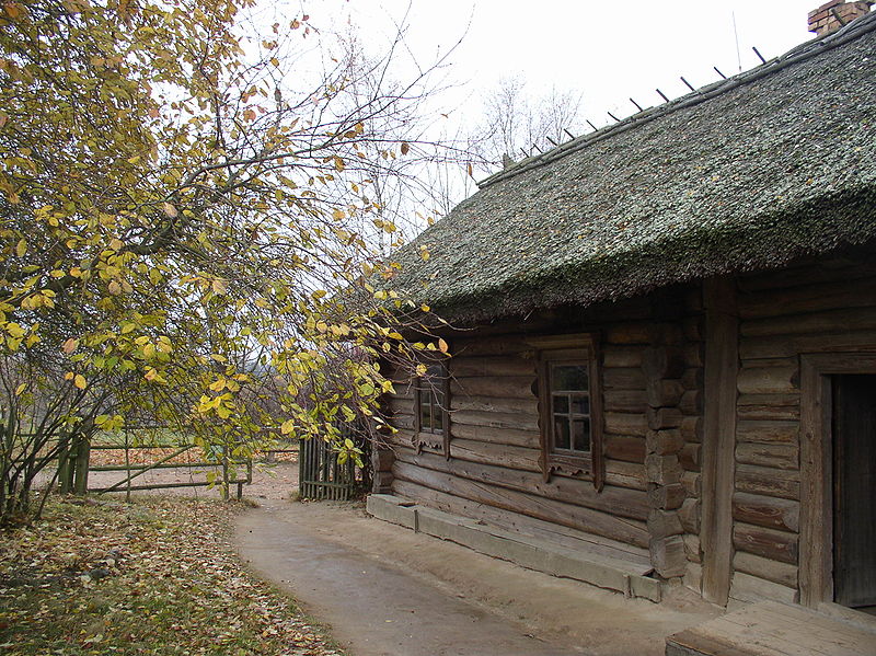 maison bois biélorussie (8)