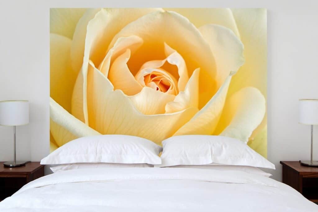 tête de lit avec une grande rose blanche