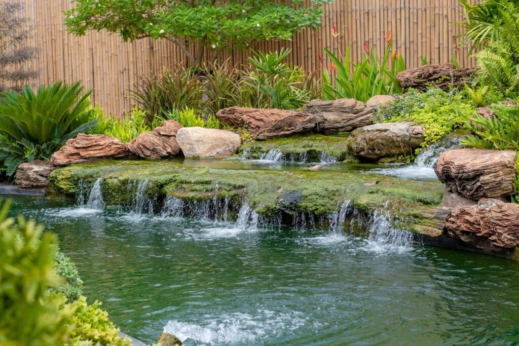 piscine naturelle
