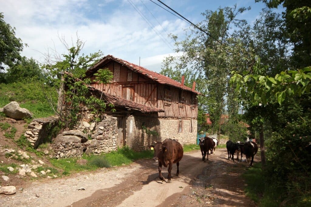 maison de campagne en Macédoine