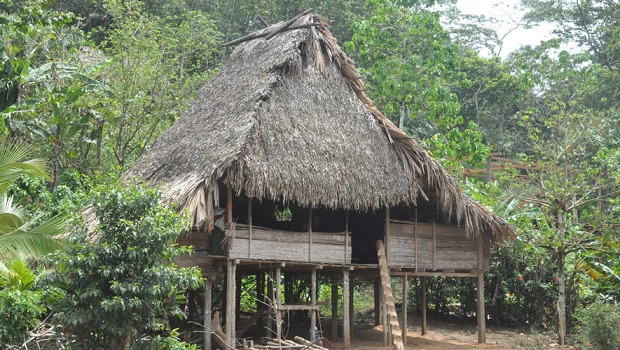 maison indigène panama 3