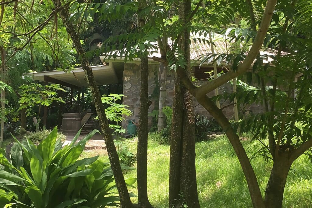 jardin