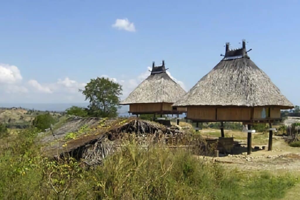 maisons typiques du Timor Oriental