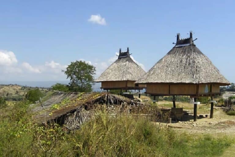 maisons typiques du Timor Oriental