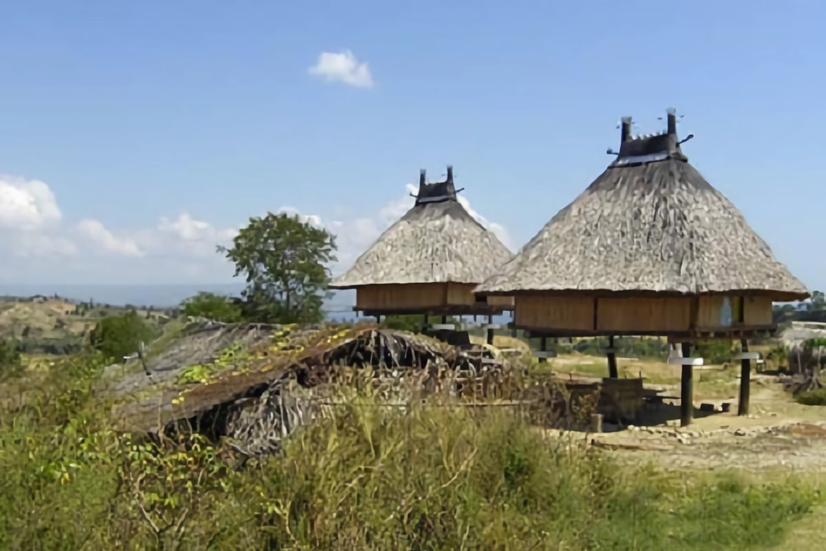 maisons typiques du Timor Oriental
