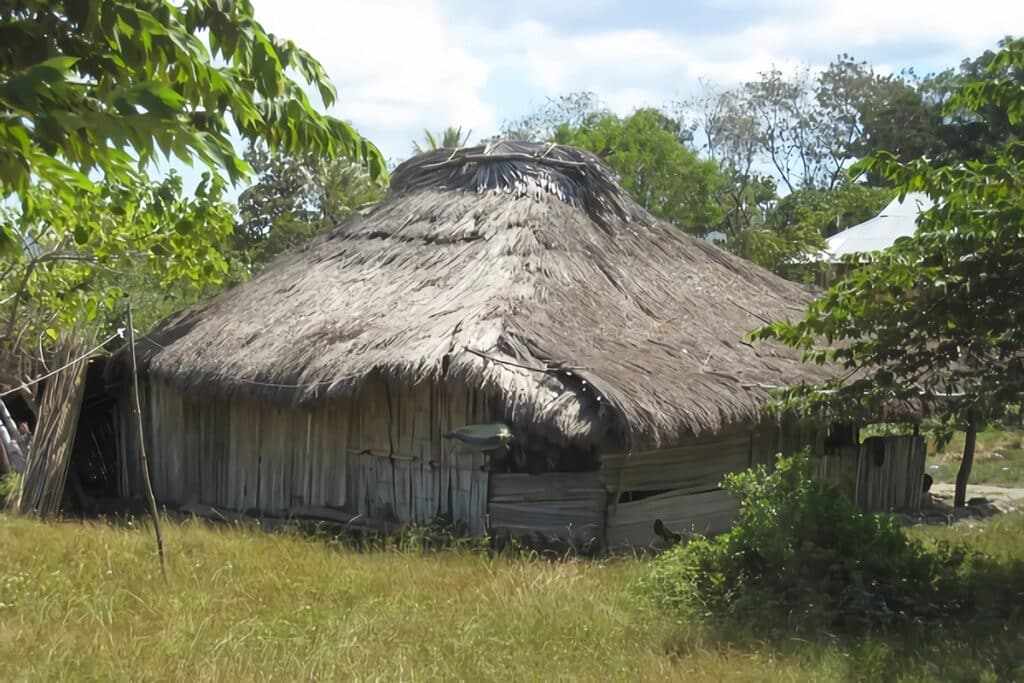 maison typique du Timor Oriental