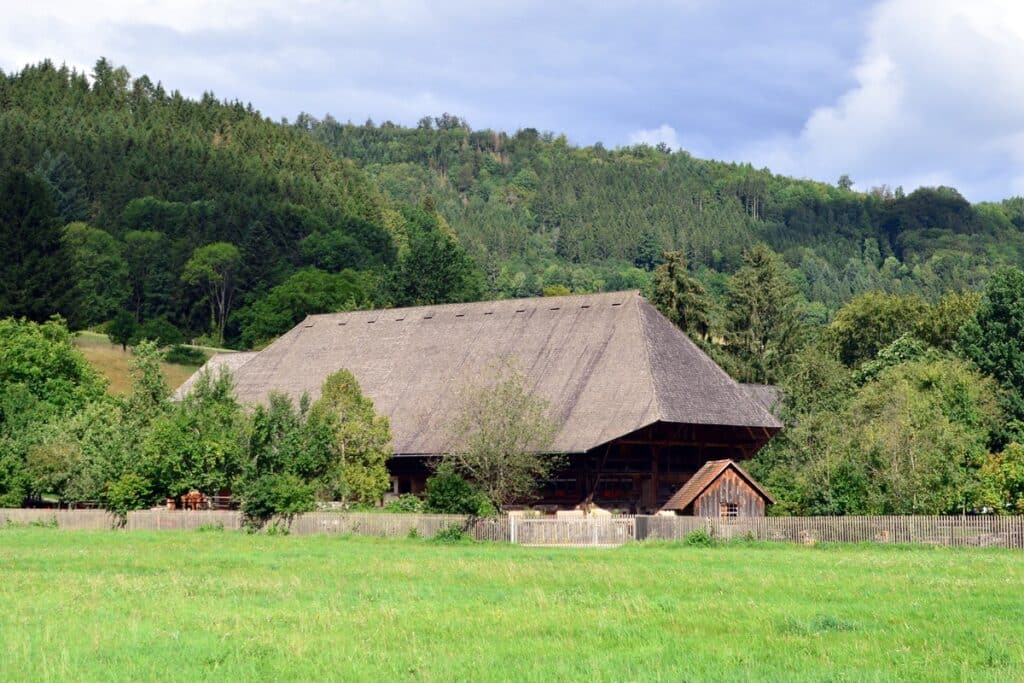 vue d'une toiture de maison de la Forêt-Noire