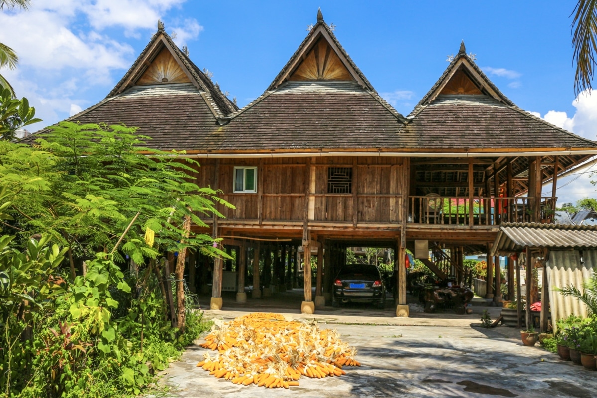 maison en bambou dai