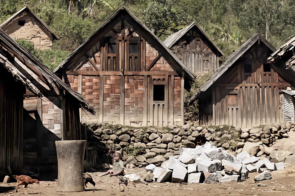 maisons en bois des Zafimaniry