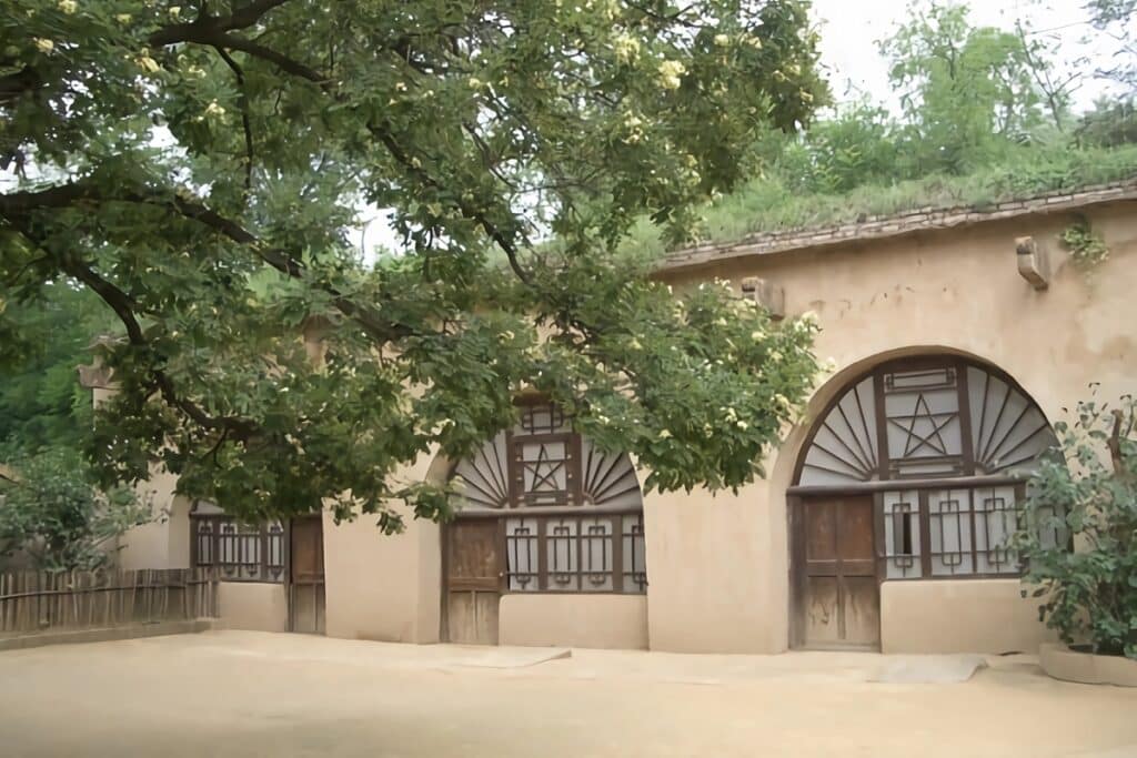 yaodong chinois