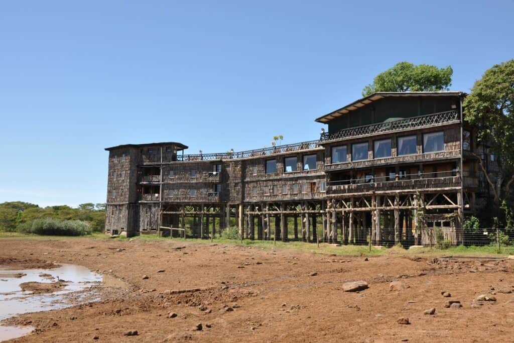 Treetops Lodge