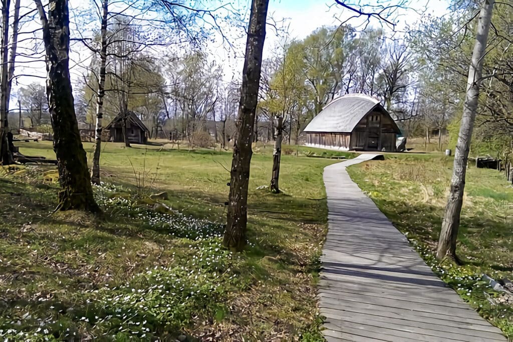 ferme viking
