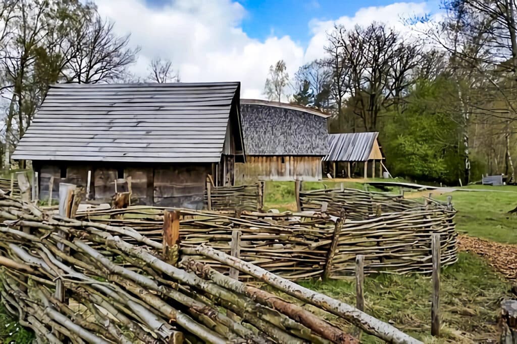 ferme viking