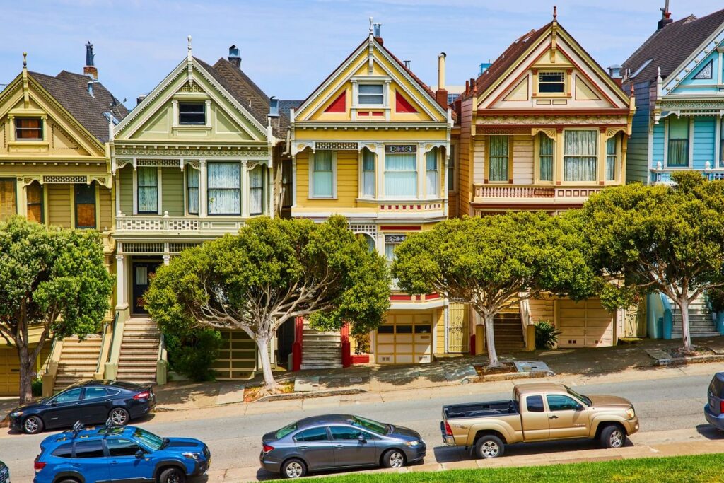 rangée de painted ladies