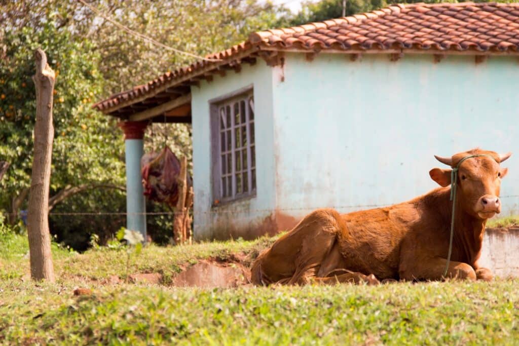 maison rurale au Paraguay