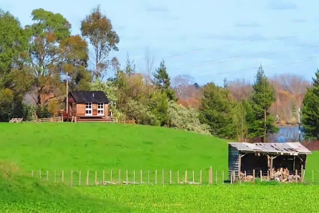 tiny house dans la nature