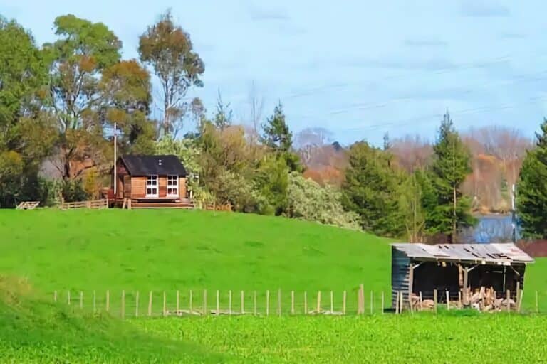 tiny house dans la nature
