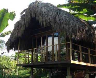 cabane en bambou