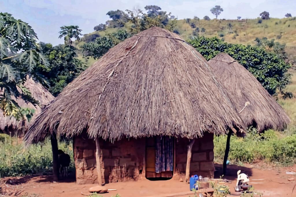 petite hutte en Guinée