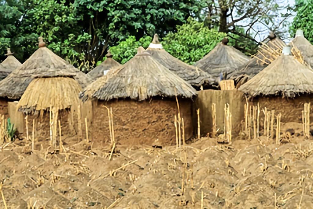 huttes en guinée