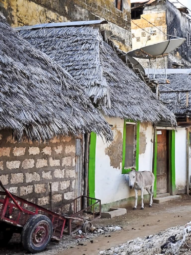 petites maisons swahili à Lamu