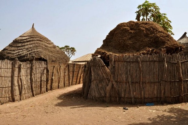maisons rurales gambie