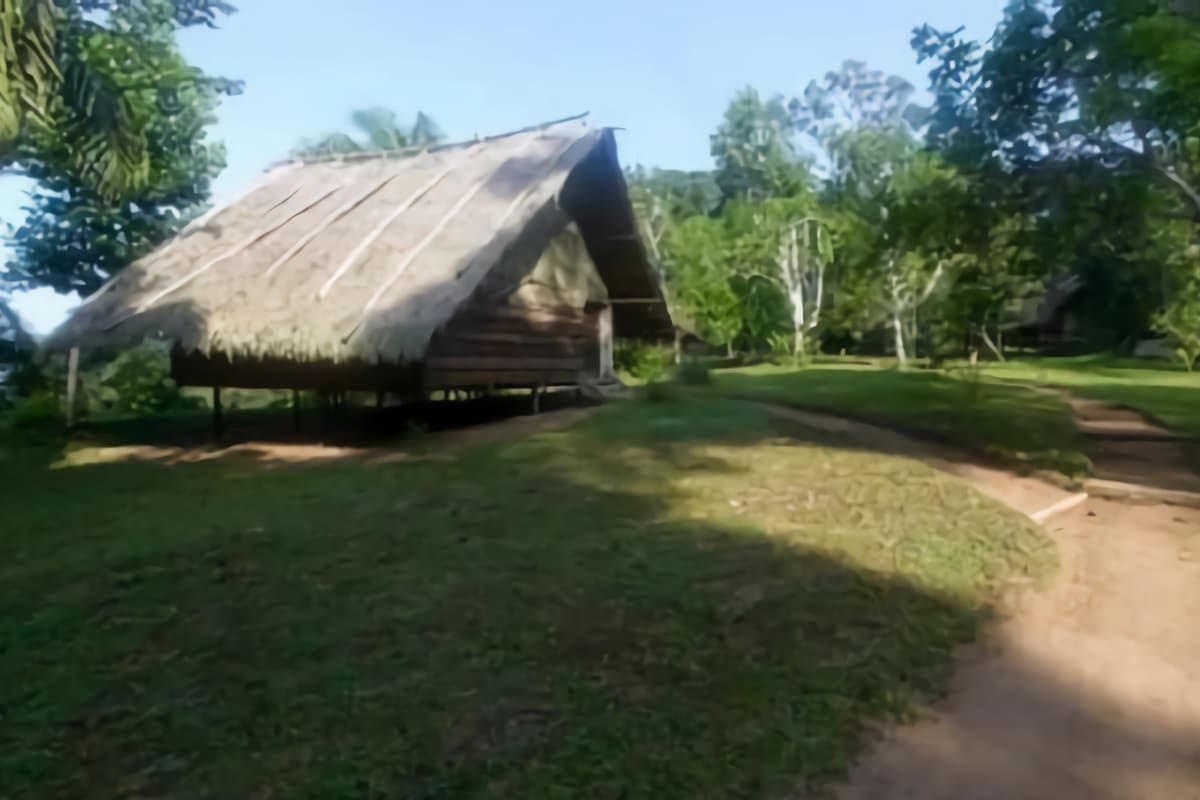 hutte de chaume en RCA