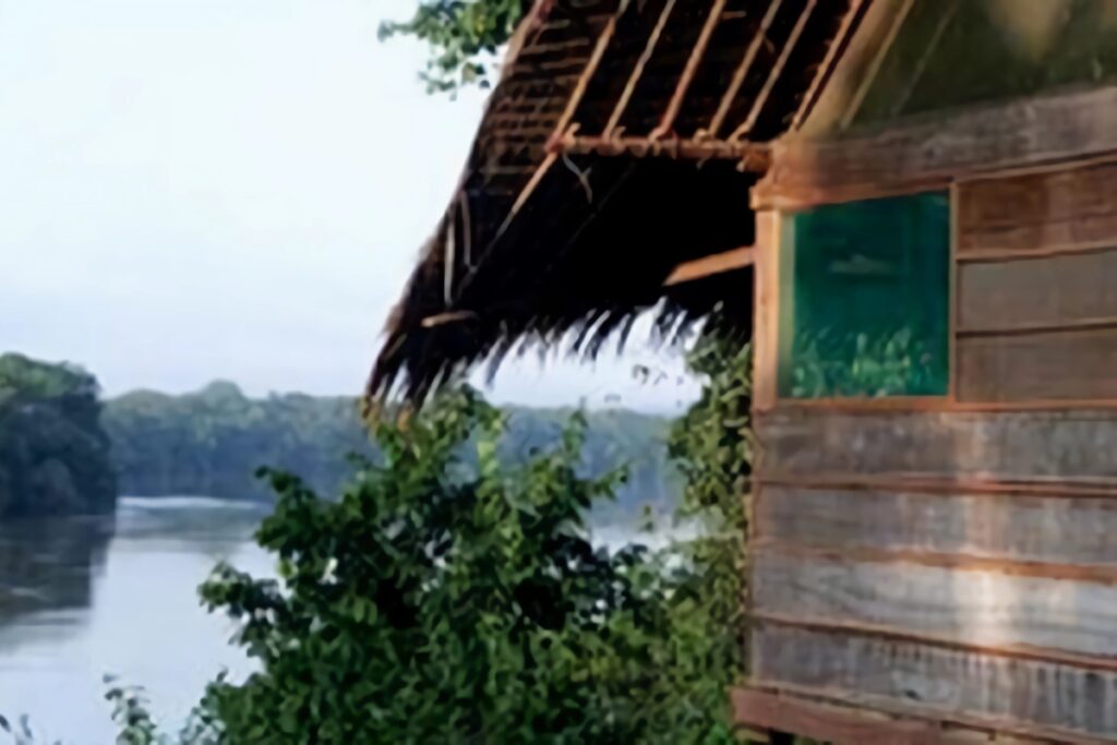 vue sur la rivière sangha