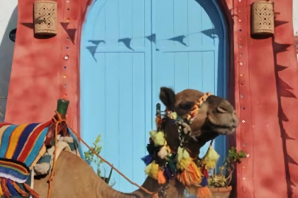 porte bleue