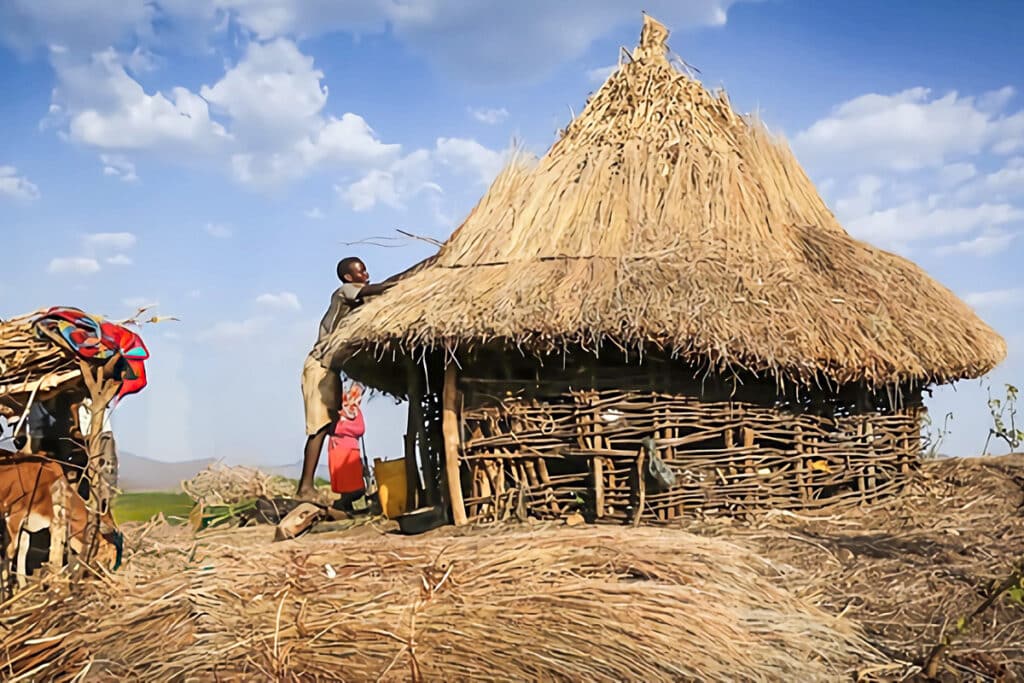 construction du toit en chaume d'une hutte konso