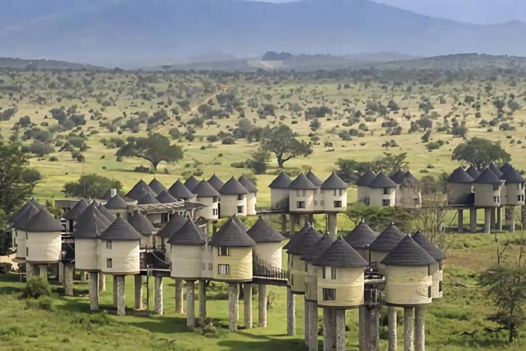salt lick safari lodge