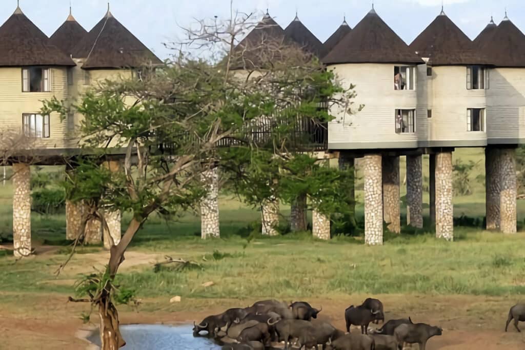 huttes sur pilotis au salt lick safari lodge