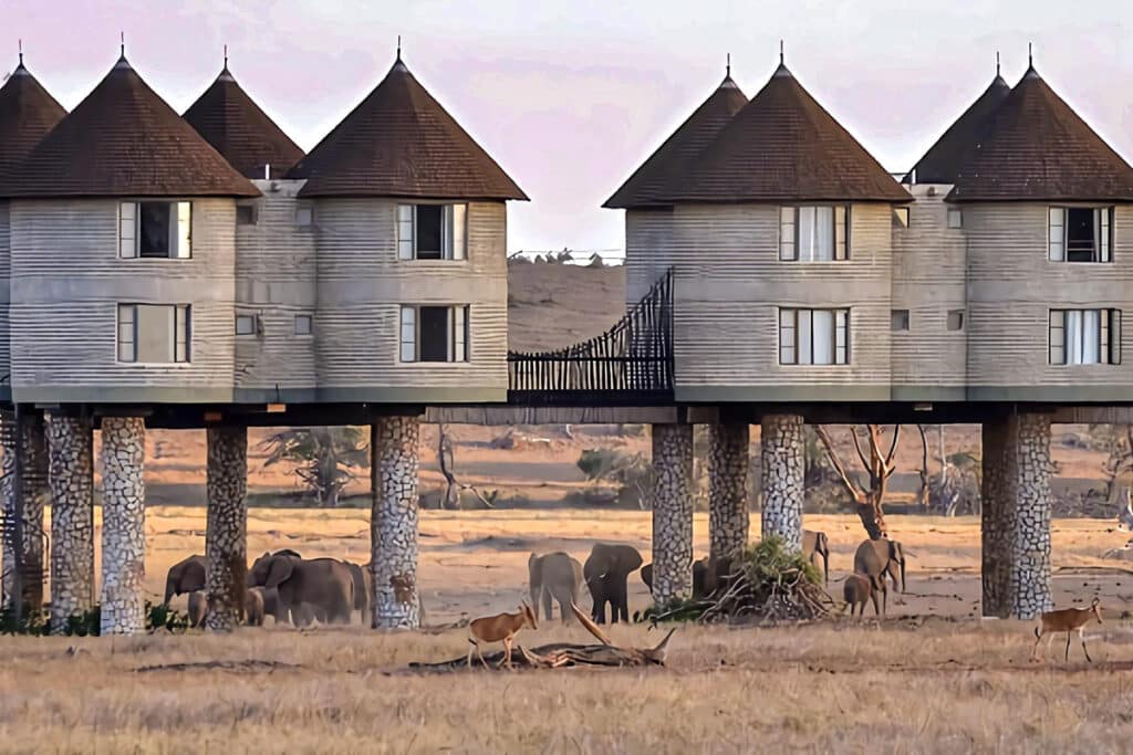huttes sur pilotis du salt lick safari lodge