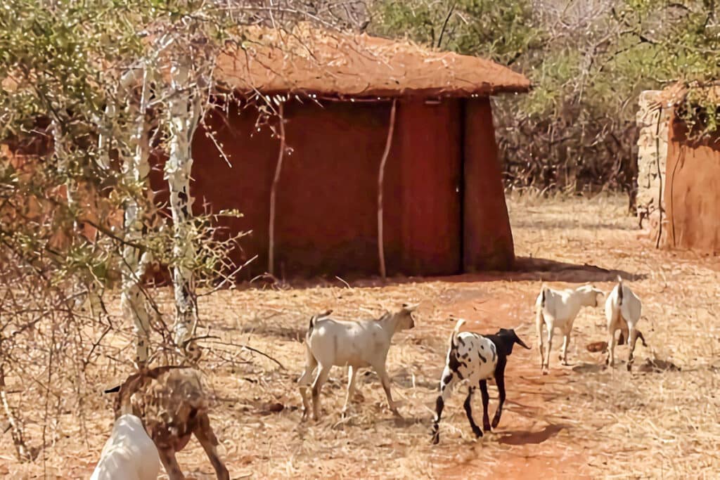 maison maasai