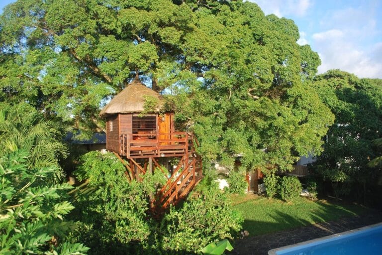 cabane arbre maurice