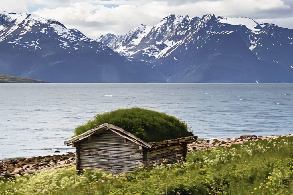 cabane wilderness