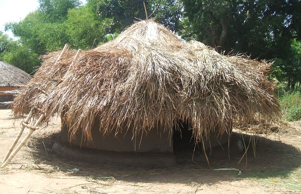 hutte acholi