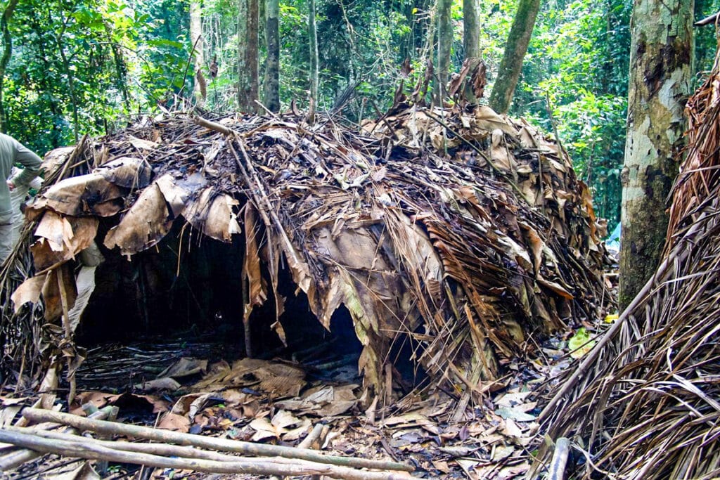 Móngulu hutte du peuple Baka