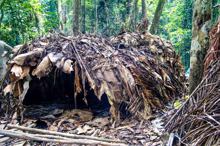 Móngulu hutte du peuple Baka