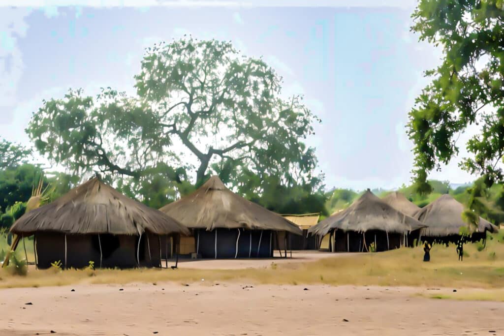 ferme rurale mozambique