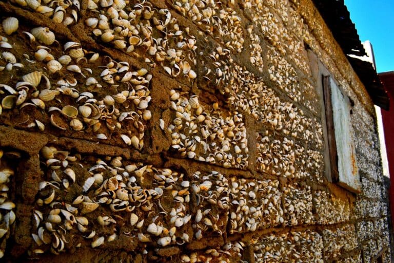 maison de coquillages fadiouth