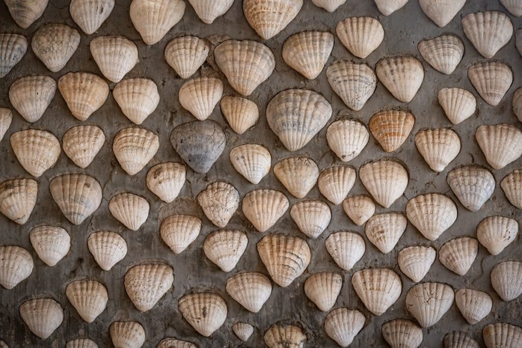 mur de coquillages à Fadiouth