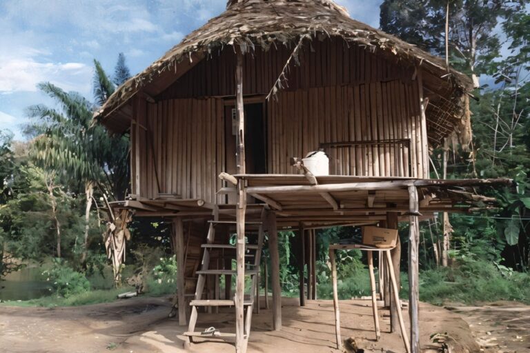 ajoupa traditionnelle de la trinité et tobago