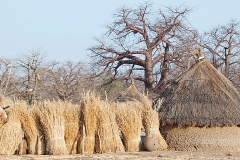 hutte du peuple Nouba
